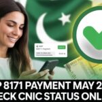 8171 SMS Service – Check BISP Payment Status 2025 Online