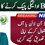 8171 Tracking Portal 2025: Check BISP Rs.13,500 Payment Online Using CNIC – Full Guide
