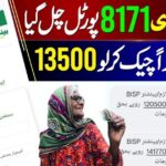 BISP 8171 Web Portal Reopens in December 2025: Check Your Payment Status Online