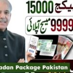 CM Punjab Nigehban Ramzan Package 2026 – How to Get Nigahban Card for Rs 10,000 Aid